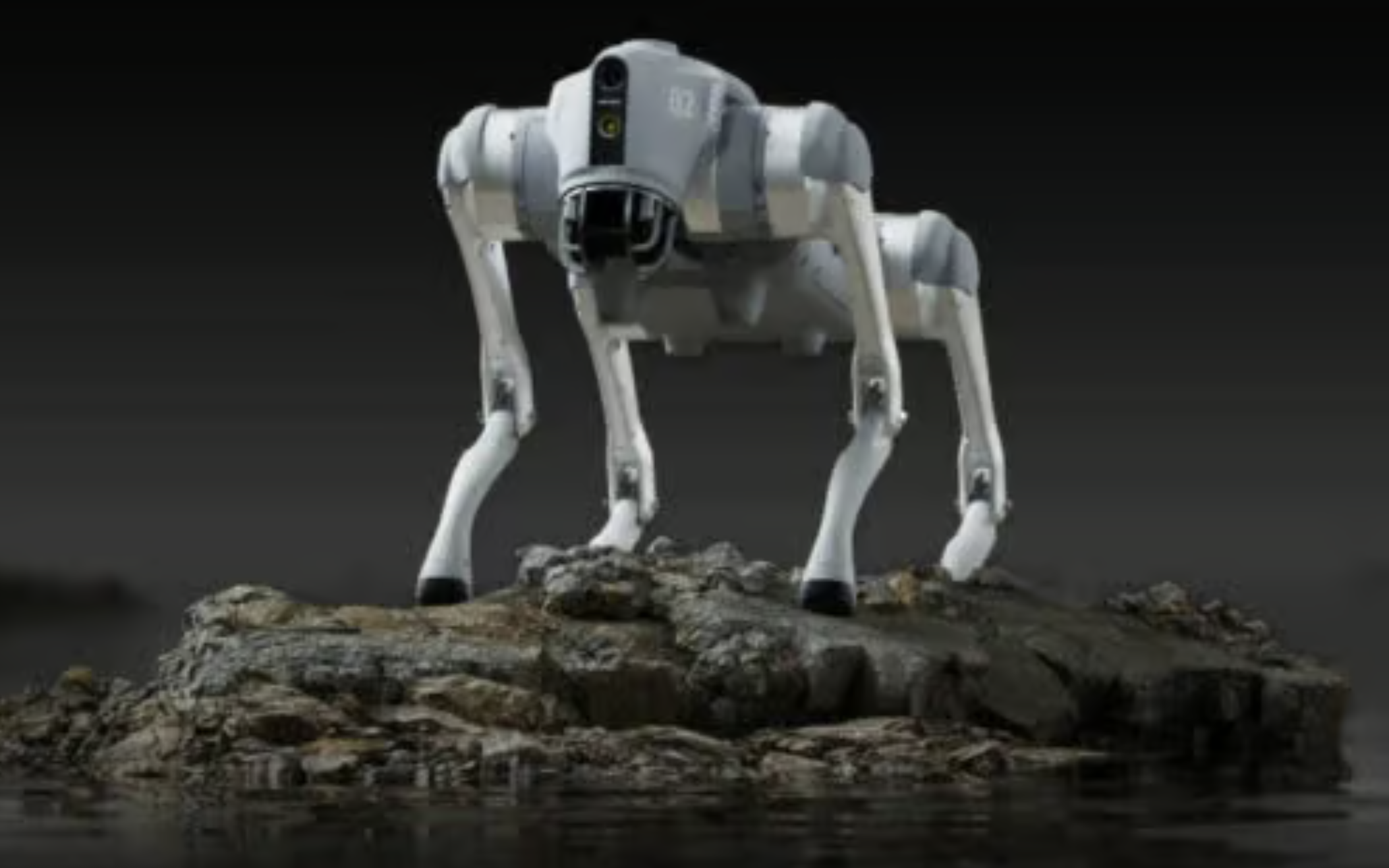 Unitree 機械人爆「殭屍網絡」漏洞　可被黑客遙距控制、自動感染同類